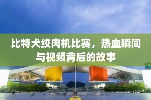 比特犬绞肉机比赛，热血瞬间与视频背后的故事