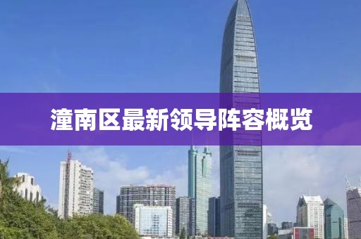 潼南区最新领导阵容概览