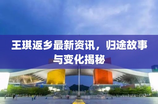 王琪返乡最新资讯，归途故事与变化揭秘