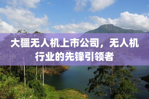 大疆无人机上市公司，无人机行业的先锋引领者