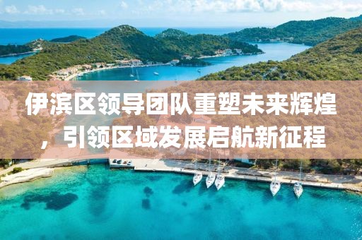 伊滨区领导团队重塑未来辉煌，引领区域发展启航新征程