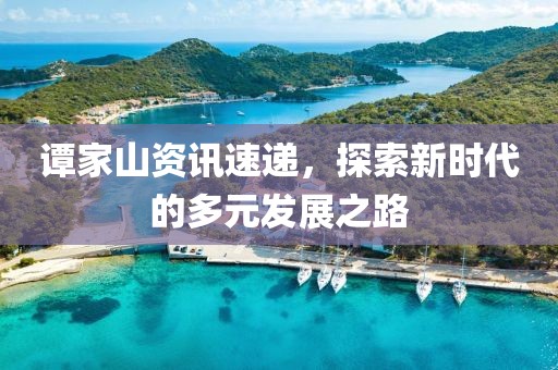 谭家山资讯速递，探索新时代的多元发展之路