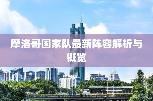 摩洛哥国家队最新阵容解析与概览