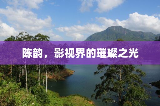陈韵，影视界的璀璨之光