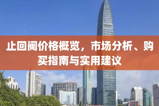止回阀价格概览，市场分析、购买指南与实用建议