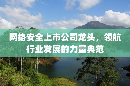 网络安全上市公司龙头，领航行业发展的力量典范