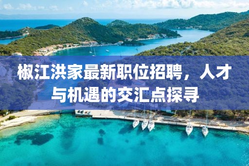 椒江洪家最新职位招聘，人才与机遇的交汇点探寻
