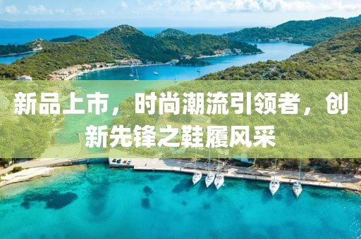 新品上市，时尚潮流引领者，创新先锋之鞋履风采