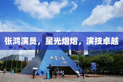 张鸿演员，星光熠熠，演技卓越