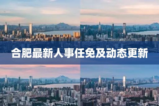 合肥最新人事任免及动态更新