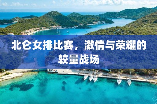 主攻撩汉 第15页