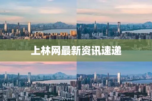 上林网最新资讯速递