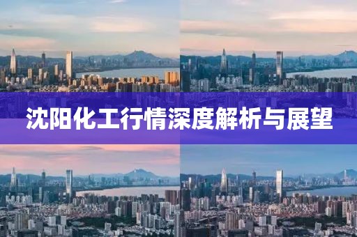 沈阳化工行情深度解析与展望