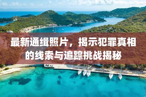 最新通缉照片，揭示犯罪真相的线索与追踪挑战揭秘