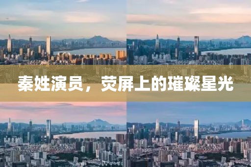 秦姓演员，荧屏上的璀璨星光
