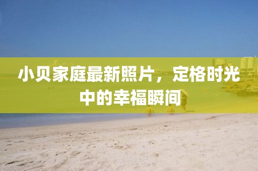 小贝家庭最新照片，定格时光中的幸福瞬间