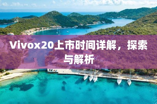 Vivox20上市时间详解，探索与解析