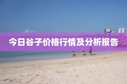 今日谷子价格行情及分析报告