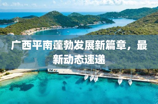 广西平南蓬勃发展新篇章，最新动态速递