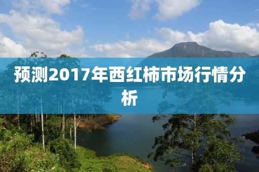 预测2017年西红柿市场行情分析