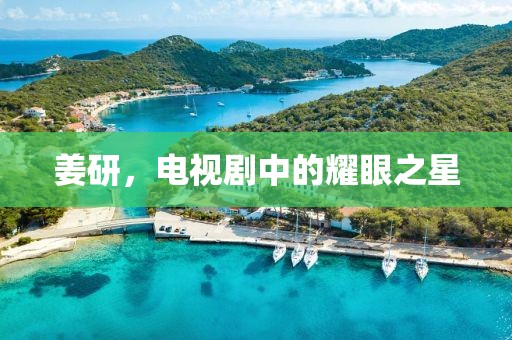 姜研，电视剧中的耀眼之星