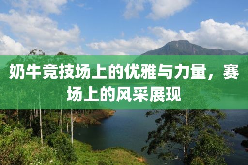 奶牛竞技场上的优雅与力量，赛场上的风采展现