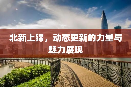 北新上锦，动态更新的力量与魅力展现