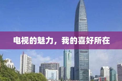 电视的魅力，我的喜好所在