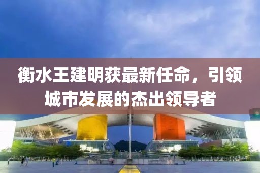衡水王建明获最新任命，引领城市发展的杰出领导者