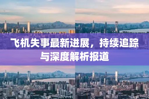 飞机失事最新进展，持续追踪与深度解析报道