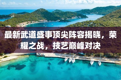 最新武道盛事顶尖阵容揭晓，荣耀之战，技艺巅峰对决