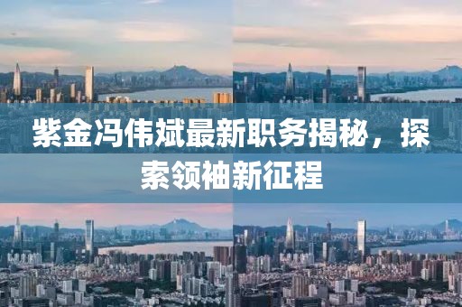 紫金冯伟斌最新职务揭秘，探索领袖新征程