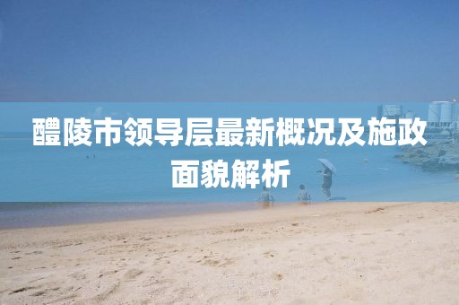 醴陵市领导层最新概况及施政面貌解析