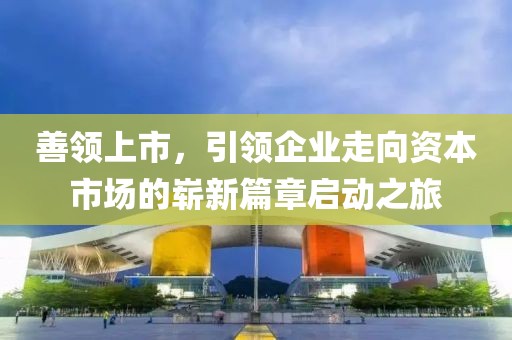善领上市，引领企业走向资本市场的崭新篇章启动之旅