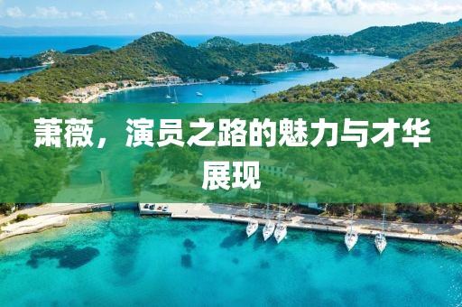 萧薇，演员之路的魅力与才华展现