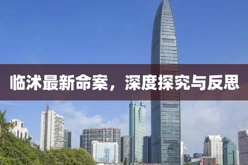 临沭最新命案，深度探究与反思