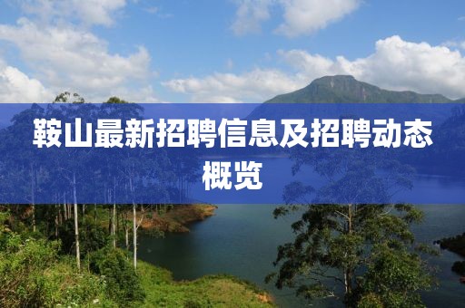 鞍山最新招聘信息及招聘动态概览