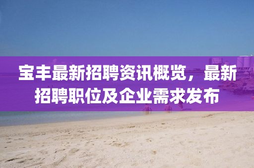 宝丰最新招聘资讯概览，最新招聘职位及企业需求发布