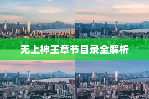 无上神王章节目录全解析