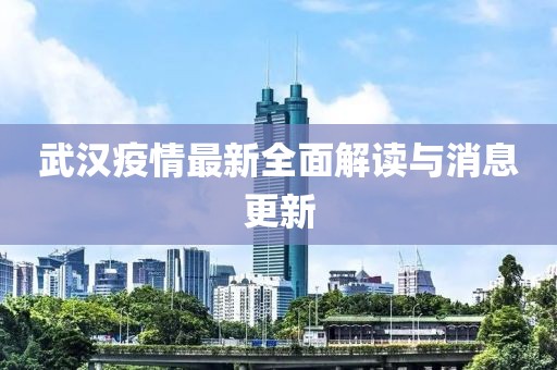 武汉疫情最新全面解读与消息更新
