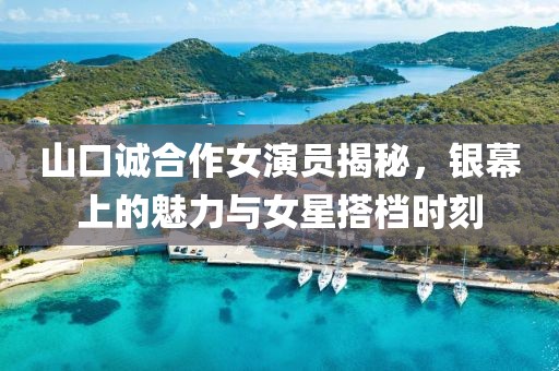 山口诚合作女演员揭秘，银幕上的魅力与女星搭档时刻