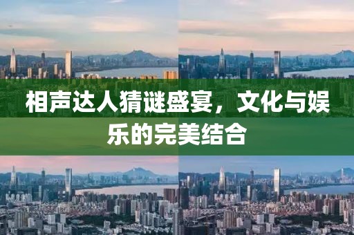 相声达人猜谜盛宴，文化与娱乐的完美结合