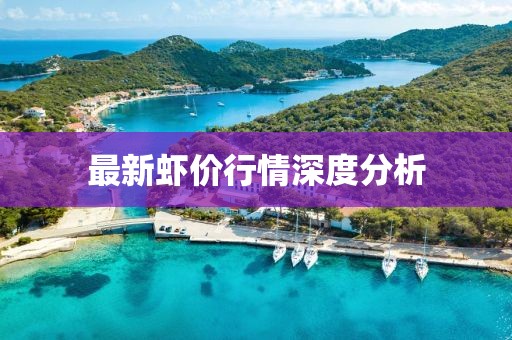 最新虾价行情深度分析