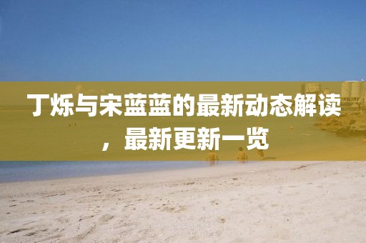 丁烁与宋蓝蓝的最新动态解读，最新更新一览
