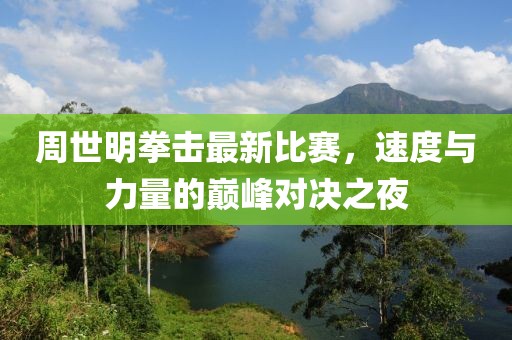 周世明拳击最新比赛，速度与力量的巅峰对决之夜