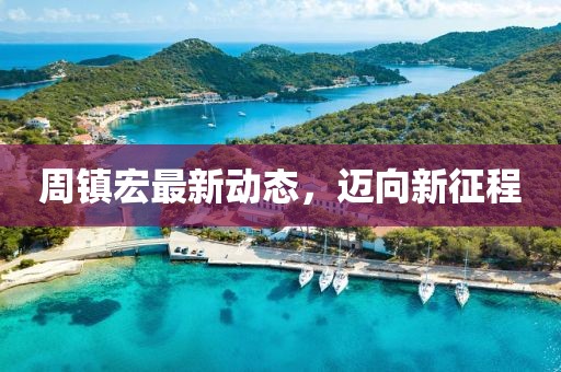 周镇宏最新动态，迈向新征程