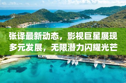 张译最新动态，影视巨星展现多元发展，无限潜力闪耀光芒