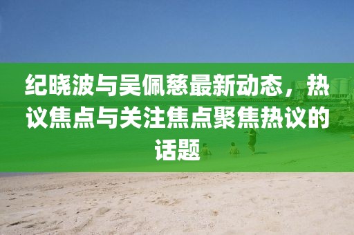 纪晓波与吴佩慈最新动态，热议焦点与关注焦点聚焦热议的话题