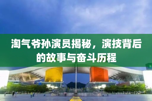 淘气爷孙演员揭秘，演技背后的故事与奋斗历程