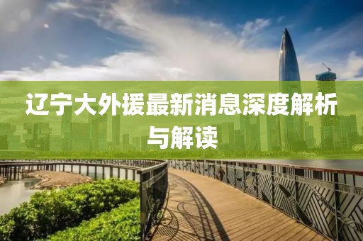 辽宁大外援最新消息深度解析与解读
